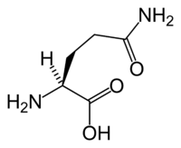 L-glutamine in Keto Dieet